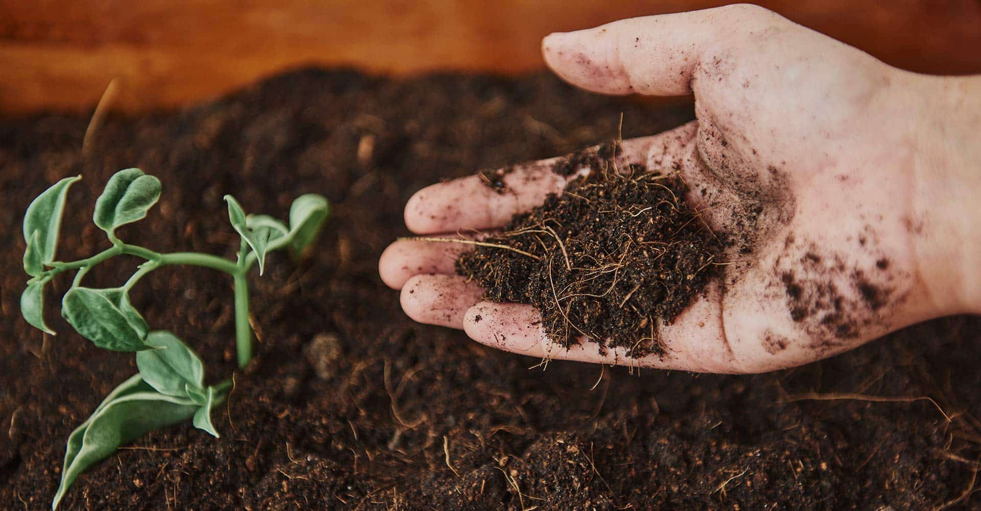 ideas para una jardinera